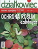 Dzia�kowiec